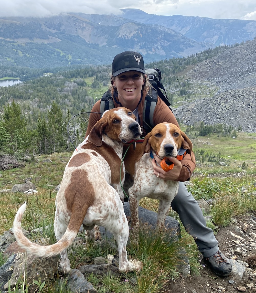 Veterinarian Profile